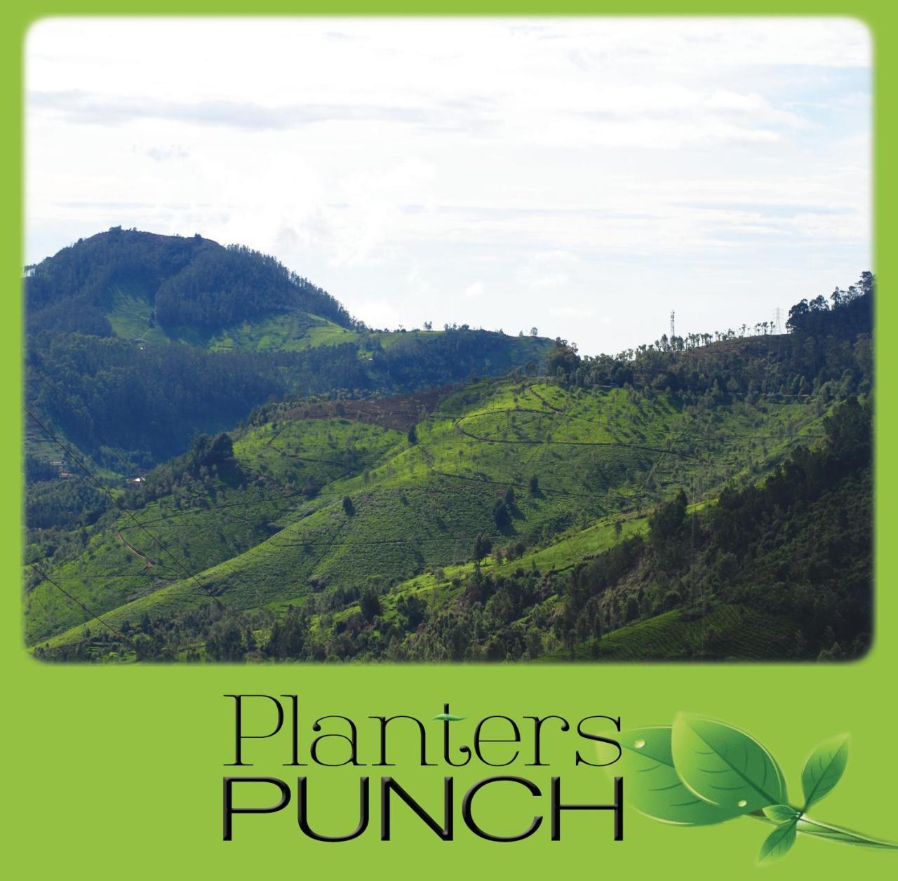 Planters Punch Villa Ooty Eksteriør billede