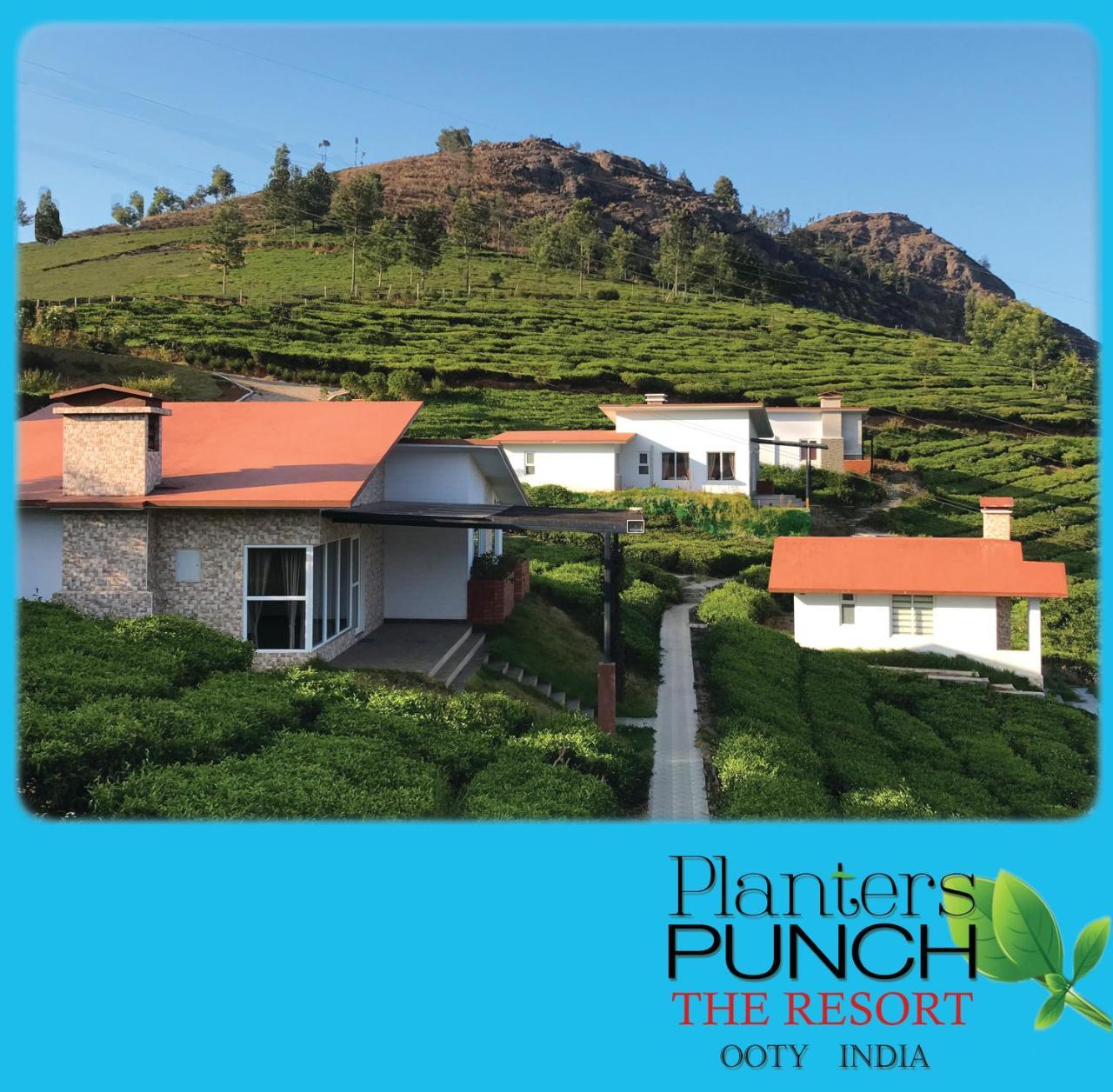 Planters Punch Villa Ooty Eksteriør billede