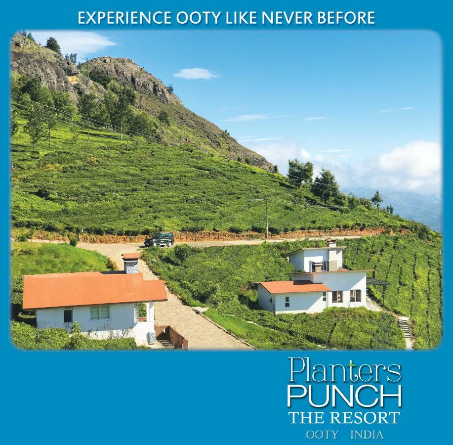 Planters Punch Villa Ooty Eksteriør billede