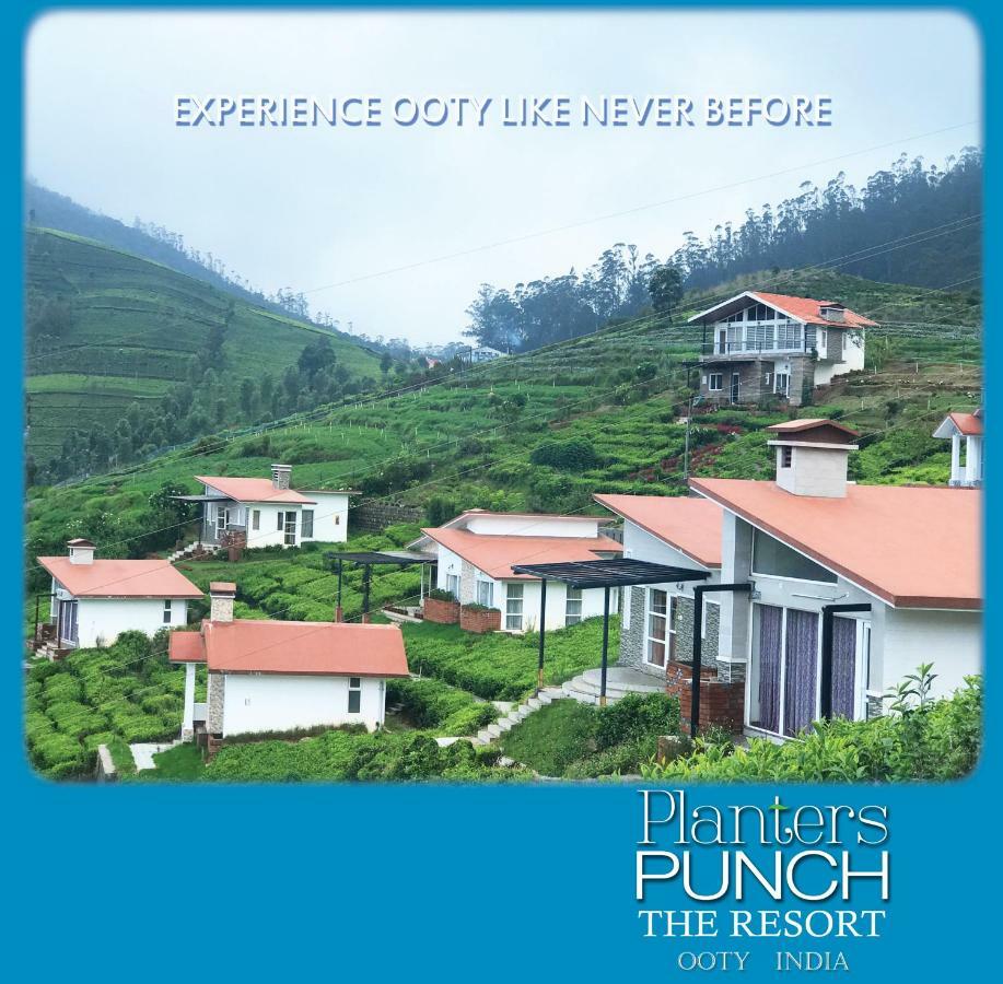 Planters Punch Villa Ooty Eksteriør billede
