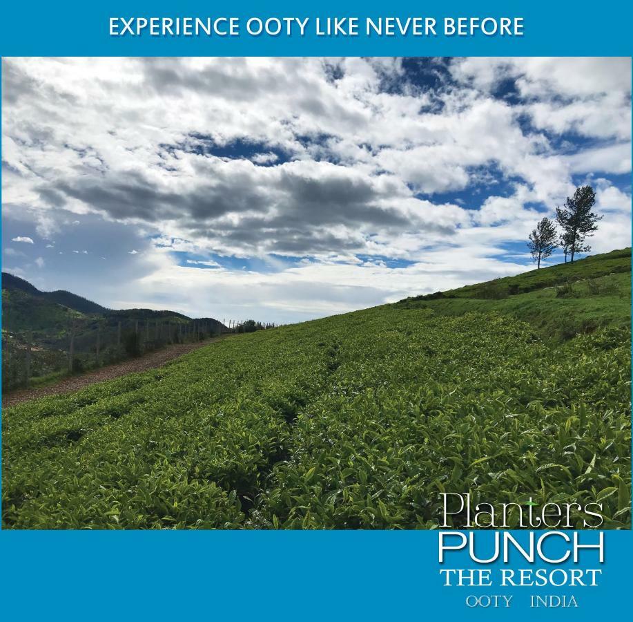 Planters Punch Villa Ooty Eksteriør billede